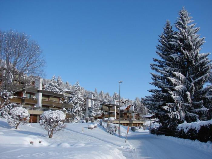 Apartament Roc D'Orsay E52 Leysin Zewnętrze zdjęcie